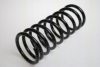 TRISCAN 8750 1453 Coil Spring